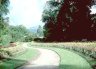 A Gentle Walkway at Peradeniya Botannical Gardens